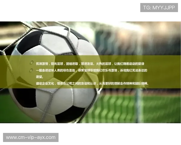 世界杯城市品牌传播效应评估方法